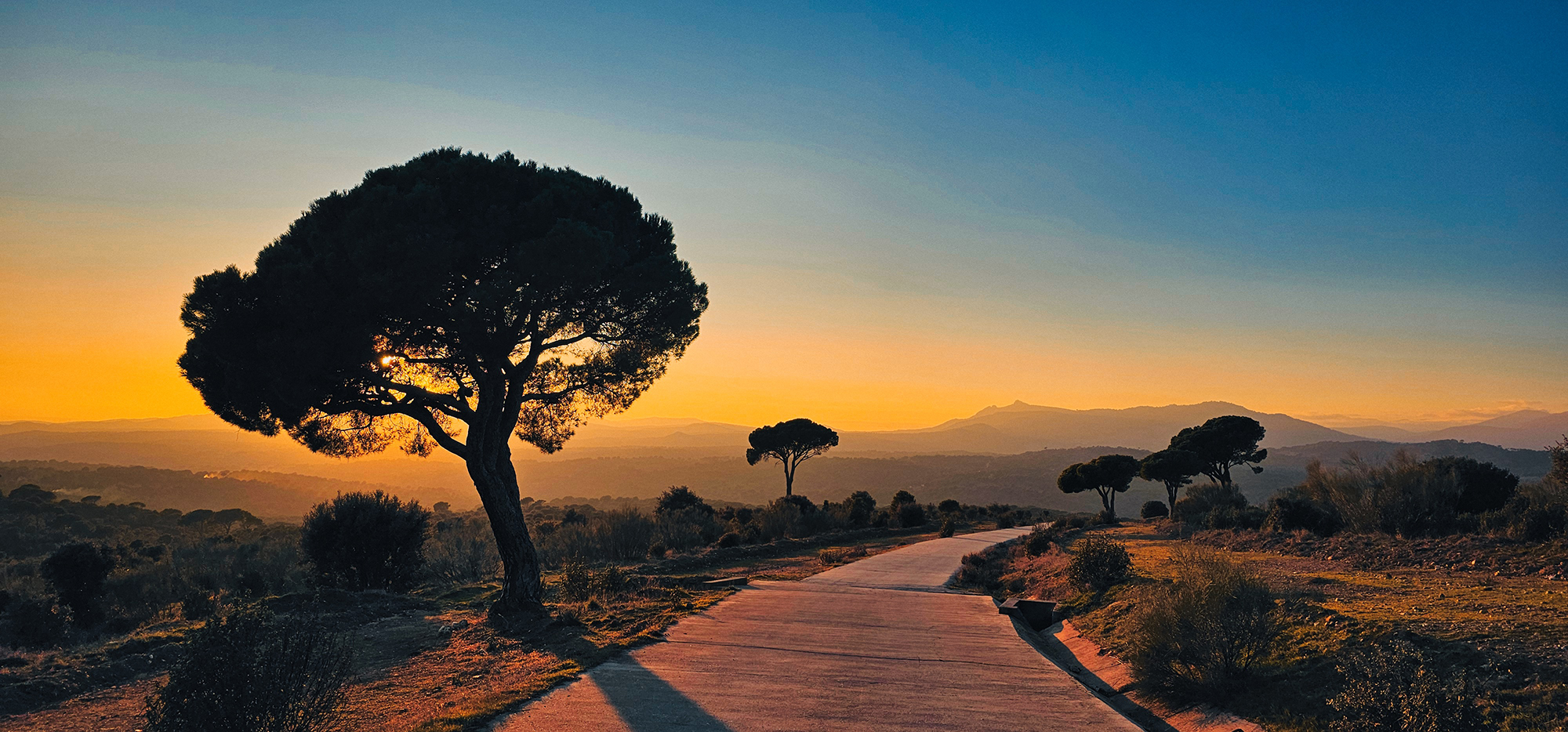 Portada Encinar del Alberche